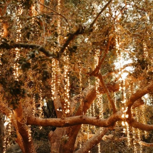 Meet your Posher, Emma - Picture 1 of 1